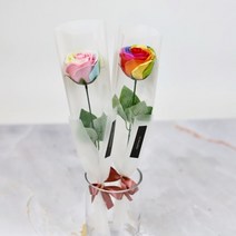 로사리움(rosarium) 한송이 장미 카네이션 비누 꽃다발 - 비누 꽃다발 졸업식 어버이날 킨더조이 로즈데이 성년의날 여자친구 남자친구 재롱잔치 학예회 축하 선물, 2. 투톤 한송이 꽃다발 (오리지날 무지개)