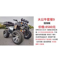 산악 4륜 오토바이 화물 ATV 바이크 오프로드 사이즈 황소 구동축 가솔린 전 지형 구동 필드, 빅 불 패키지 9