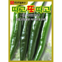 안매운 고추씨앗 (30립), 1개