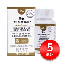 포뉴 그린 프로폴리스 800mg x 90정 x 5박스