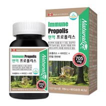 네추럴라이즈 면역 프로폴리스 705mg x 60캡슐(2개월분) 환절기 비염 알레르기 코면역 코건강 1box 2box 3box