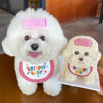 반려묘 애완견 반려견 생일파티 생일용품 생일 생일턱받이, S, 화이트