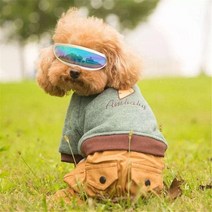 강아지고글 애견선글라스 애완고글 miflame sunproof dogs 안경 고글 schnauzer bichon party small dogs wig for dogs 선글라스, e, 8x8x3cm