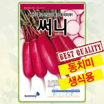 빨강무 적무 씨앗 종자 씨 동치미무 무씨 과일무 써니 200립 KN
