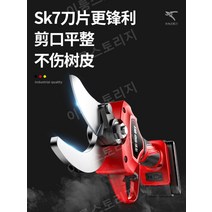 전동전지가위 고지가위 무선 원예 충전 조경, 4599 고가지 2차 전지(연장봉 포함)