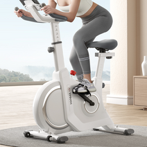 튼튼한 스피닝 자전거 실내 사이클 유산소 홈트 헬스 바이크 좌식 운동기구, 아테네 블랙/지능형 전자제어 디버깅/AI 시스템