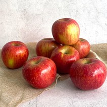 [더조은푸드] 경북 부사 사과 (가정용) 10kg, 1box, 10kg(48과~51과)