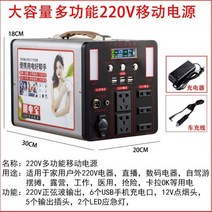 독일 수입 야외 모바일 전원 공급 장치 220V 휴대용 대용량자가 운전 투어 스톨 정전 긴급 차량 라이브 방송, 08번 TypeA1500W