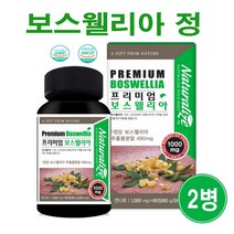 보스웰리아 정 알약 무릎 관절 연골 뼈 보스웰릭산 65% 인도산 보스웰리아원물 가루 차 보스월리아 유향 BOSWELLIA 효능 추천 파는곳, 2개, 60정