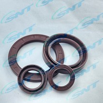 NAK 고압용 펌프씰 TCN1 바이톤 FKM 오일씰 리데나 내경 40~55mm