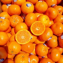 마국산 만다린, 미국산 만다린 5kg 53-57개