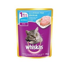 위스카스 고양이 주식 파우치 오션피쉬, 생선, 80g, 2개