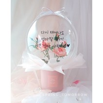 [내일도 봄] 피치장미 꽃풍선 결혼기념일 축하꽃다발 어버이날, 쇼핑백추가, 없음, 피치장미 화분형(화이트)