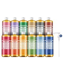 닥터브로너스dr 페퍼민트 퓨어 캐스틸 솝 950ml+펌프, 페퍼민트 950ml+펌프, 950ml
