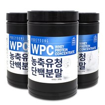 퓨어영 WPC 유청단백질 농축분말 300g 미국산, 3통