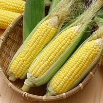[더조은푸드] 달콤고소한 냉동 초당옥수수 (17-20cm) 특품, 냉동 초당옥수수 1팩(2개입)