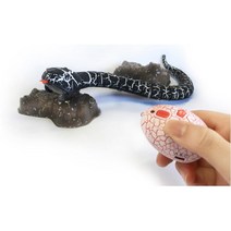 남아 스네이크 RC 무선조종 선물 장난감놀이 10살남자아이 아이들선물 아동장난감 rc, 색상랜덤