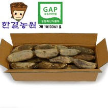 한결농원 gap인증 당일수확 연근(햇) 2kg 3kg 5kg 10kg 15kg 직접재배 산지직송, 1개, 햇연근 10kg