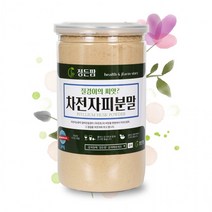 핫굿차전자피분말 400g 정든팜 뉴밀폐통 질경이씨앗껍질, 상세페이지 참조, 상세페이지 참조