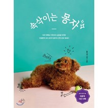 속삭이는 몽자:70만 유튜브 구독자의 심장을 제대로 저격한, 허들링북스, 몽자네 가족 저