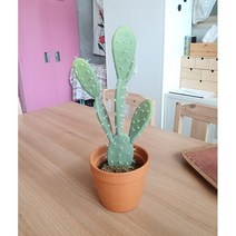 더알로하 조화 선인장 화분 만세 인테리어 나무, 만세선인장 60cm
