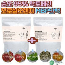 유산균사균체 락토페린 모로실 단백질보충제 LGG 분말 생유산균 미네랄 필수아미노산 모로오렌지 가루 분말 이소말토올리고당 분리유단백 엠비피 MBP 프로틴파우더 베타글루칸 루테리