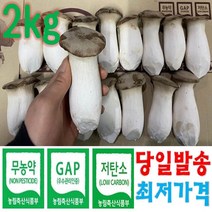 도담농산 새송이버섯 2kg 당일수확 당일발송, 4.특품2kg