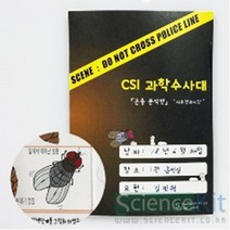 4인 곤충 사후경과 시간 범인찾기 과학 수사대 지문수사 학습 초등 보고서