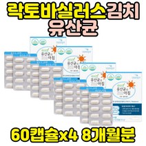 락토바실러스 플란타럼 김치 유해산소 유산균 플란타럼 가세리 루테리 모유 람노서스 람노스 홈쇼핑