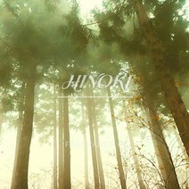 히노끼 L-Type 국내S 향기 (50ml 100ml 500ml 1L) FO 프래그런스 그란스 프로그랜스 오일, 1L