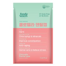 [푸디웜] 저알러지 기능성 애견간식, 1개, 클로렐라덴탈껌