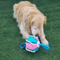 [퍼피니스] 반려견 공놀이 접이식 터그 팝핑 공, 핑크&스카이블루