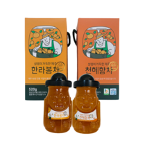 설렘이가득한 제주 한라봉차 천혜향차 320g 520g 액상차 과일청 기념품 특산품 답례품, 천혜향차 520g