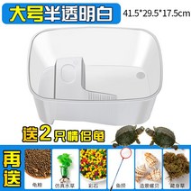 거실 마켓 활어 양식장 업소용수족관 해산물 횟집 수조 조개 양어장 수조, 킹사이즈 화이트+빅선물세트+2마리