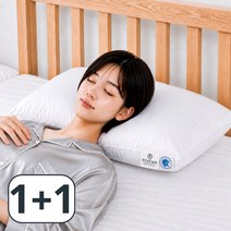 로이잠 호텔 베개, 2개, 로얄화이트