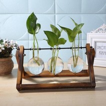 틀밭 대형화분도매 상추수경재배 키큰화분 난화분 콩분 플분 행인화분 삽목상자 슬릿분 glass and wood vase planter terrarium table desktop, c