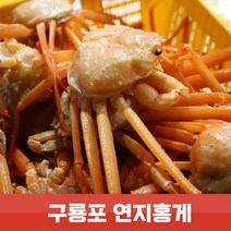 연지홍게 3kg 10~12미 찜발송 자숙 산지직송 라면용 육수용 박달형 포항 홍게 가성비, 박달형 3kg(10~12미)