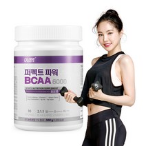 칼로바이 퍼펙트 파워 BCAA 6000 헬스 부스터 아미노산 프로틴 파우더 단백질 보충제 1개입 1개