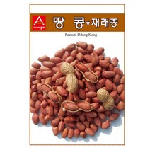 땅콩 30g 땅콩씨 땅콩종자 땅콩씨앗