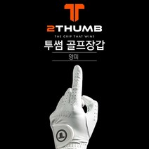 [에이앤와이] 투썸 NEW TOURFIT X 여성 양피장갑 2장 (양손 1세트)