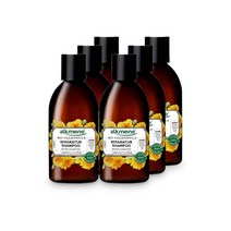 알크메네 카렌듈라 리페어 샴푸 250ml x 6개, 1개