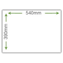신나라-닷컴_심무림 4절 마분지 450g 50매 학생용도화지 4지 백표지 두꺼운4지 두꺼운 심플 만들기용_ tlsskfk, S-N-선택사항없습니다, 이상품찜!