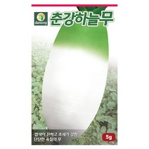 두메 부추 100립 부추씨앗 부추씨 야채씨 야채씨앗 채소씨 채소씨앗, 07_다농_춘강하늘 무(5g)