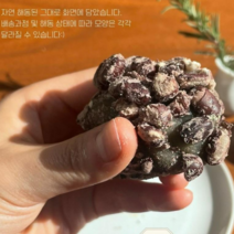 제주 황칠 오메기떡 50알/30알 명절 선물포장, <선물포장>흑임자 오메기떡(50알)” class=”wr-img”></a></div></p></div></p></div></p></div><div class=