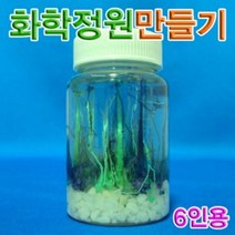 신나라-닷컴_향앤미과학 화학 정원 만들기 6인용 실험 삼투압현상관찰_ tlsskfk, 신-컴-선택사항없습니다