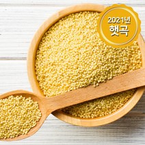 옥스포드 MS-2512 몬테소리