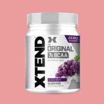 엑스텐드 헬스부스터 BCAA 50서빙 1통 포도맛, 헬스부스터 BCAA 엑스텐드 포도맛 1통, 1개