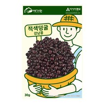 아시아종묘/콩씨앗종자 적색덩굴 강낭콩 (30g), 30g