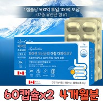 100억 생유산균 수험생 고3 장용 캡슐 프로바이오스틱 장까지 살아서가는 살아가는 캡슐형 리얼 100억 마리 프로바이오 스틱 텍스 유산균 캐나다 해외 직구 닥터 4개월