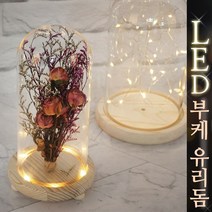 태양무역 LED유리돔 부케말리기 부케꽃선물 와이어 유리돔 무드등 드라이플라워 장식, 유리돔-매립형(스위치)XL
